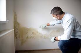 Best Crawl Space Mold Remediation in USA